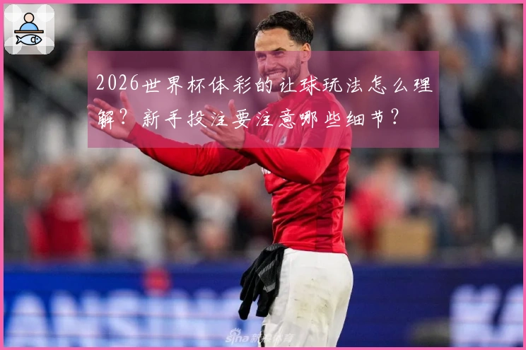 2026世界杯体彩的让球玩法怎么理解？新手投注要注意哪些细节？
