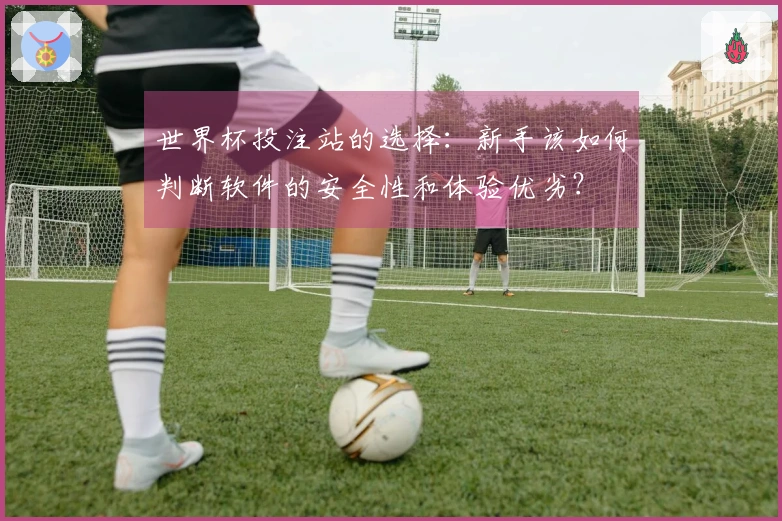世界杯投注站的选择：新手该如何判断软件的安全性和体验优劣？