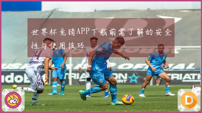 世界杯竞猜APP下载前需了解的安全性与使用技巧