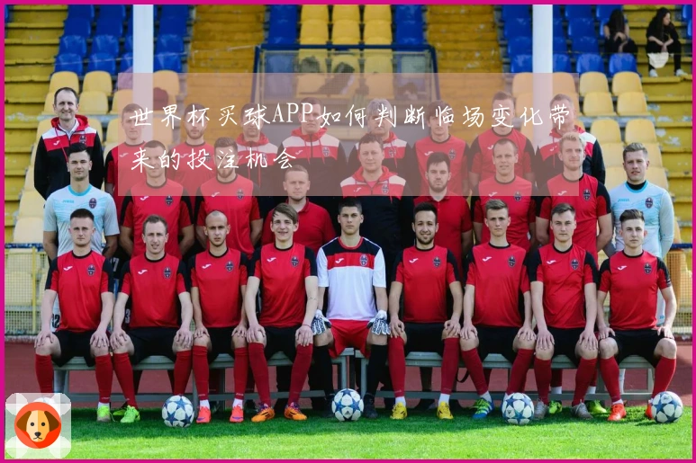 世界杯买球APP如何判断临场变化带来的投注机会