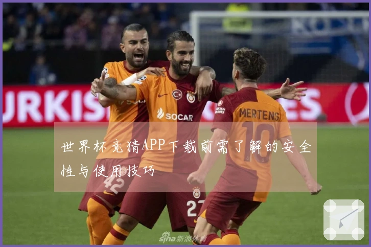 世界杯竞猜APP下载前需了解的安全性与使用技巧