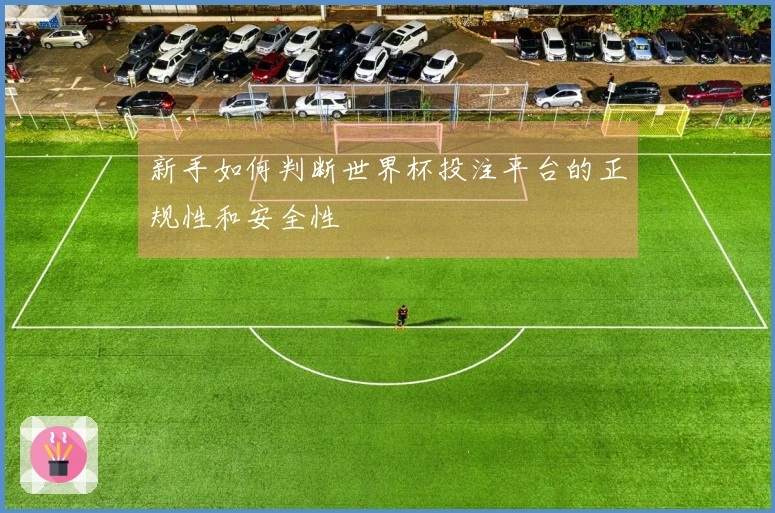 新手如何判断世界杯投注平台的正规性和安全性