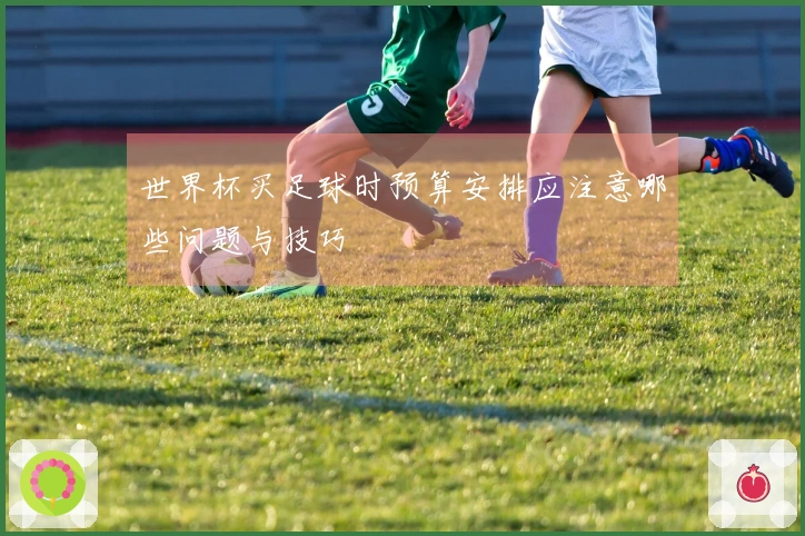 世界杯买足球时预算安排应注意哪些问题与技巧