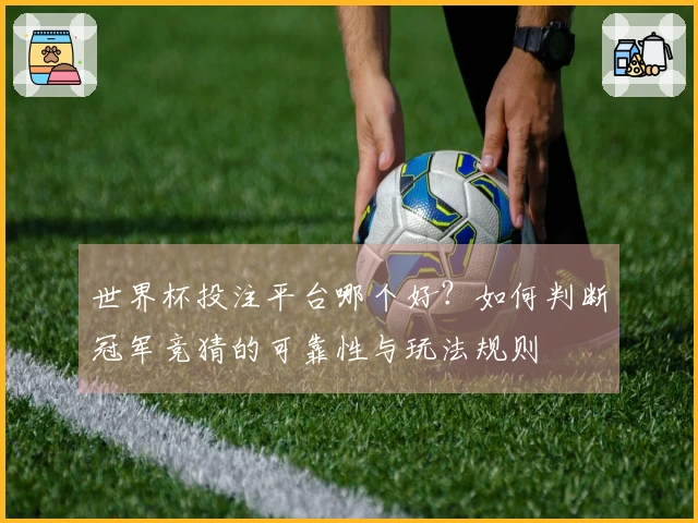 世界杯投注平台哪个好？如何判断冠军竞猜的可靠性与玩法规则