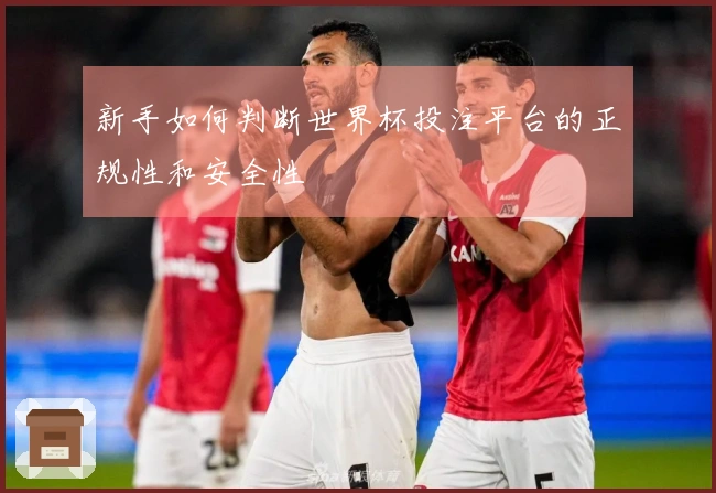 新手如何判断世界杯投注平台的正规性和安全性