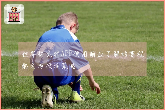 世界杯竞猜APP使用前应了解的赛程配合与投注策略