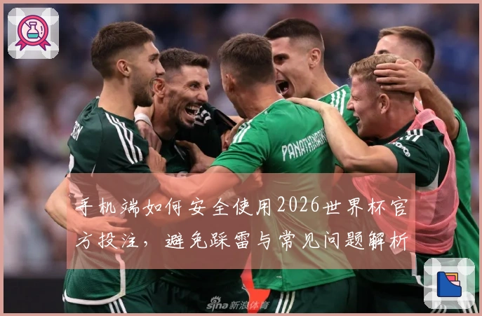手机端如何安全使用2026世界杯官方投注，避免踩雷与常见问题解析