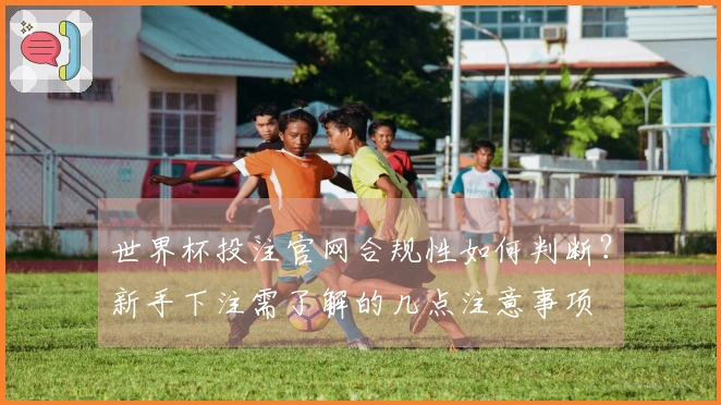 世界杯投注官网合规性如何判断？新手下注需了解的几点注意事项