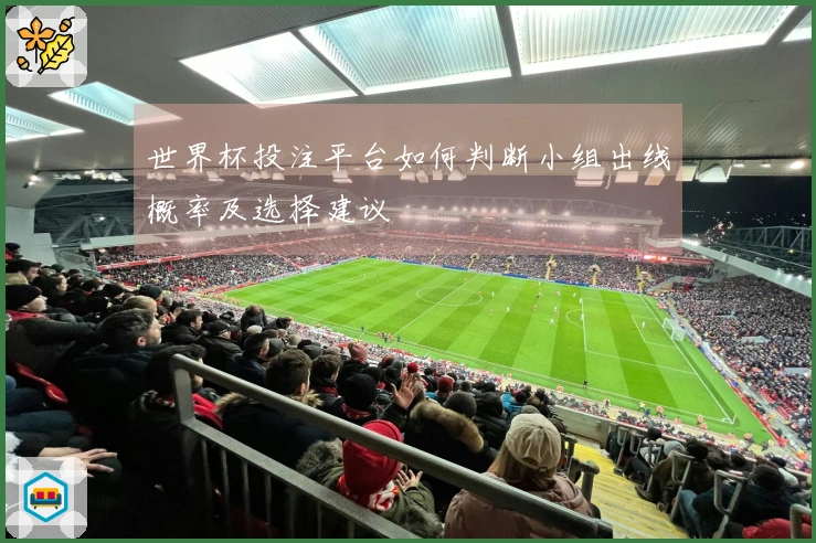 世界杯投注平台如何判断小组出线概率及选择建议