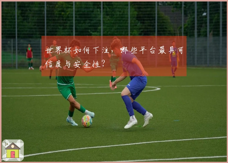 世界杯如何下注，哪些平台最具可信度与安全性？