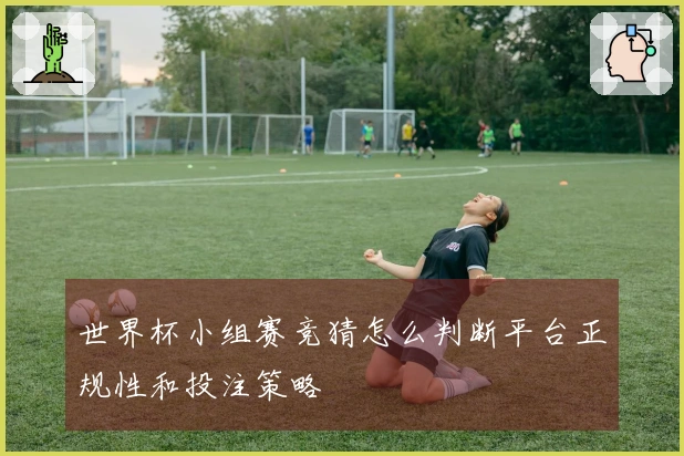 世界杯小组赛竞猜怎么判断平台正规性和投注策略