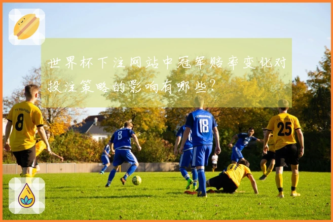 世界杯下注网站中冠军赔率变化对投注策略的影响有哪些？