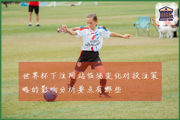 世界杯下注网站临场变化对投注策略的影响分析要点有哪些