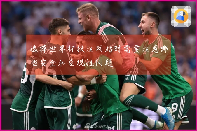 选择世界杯投注网站时需要注意哪些安全和合规性问题