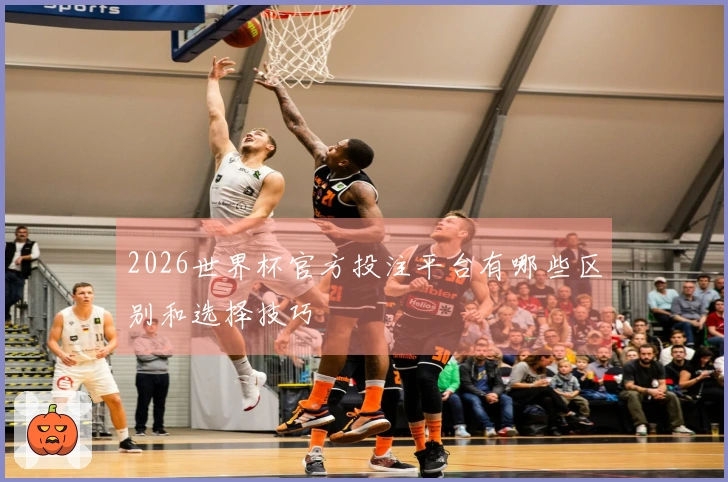2026世界杯官方投注平台有哪些区别和选择技巧