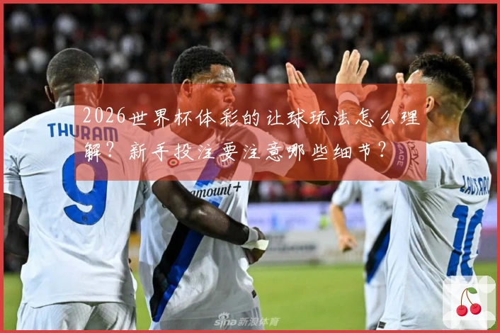 2026世界杯体彩的让球玩法怎么理解？新手投注要注意哪些细节？