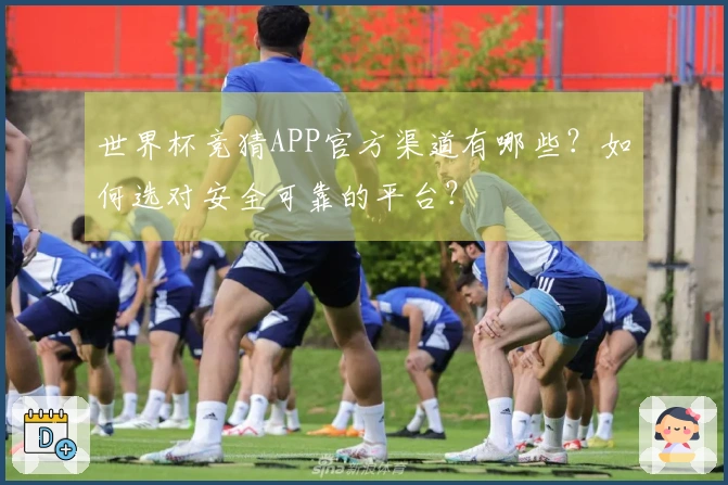 世界杯竞猜APP官方渠道有哪些？如何选对安全可靠的平台？