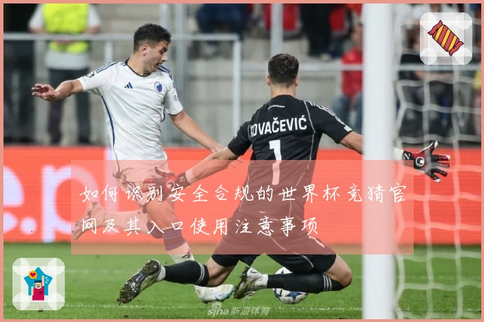 如何识别安全合规的世界杯竞猜官网及其入口使用注意事项