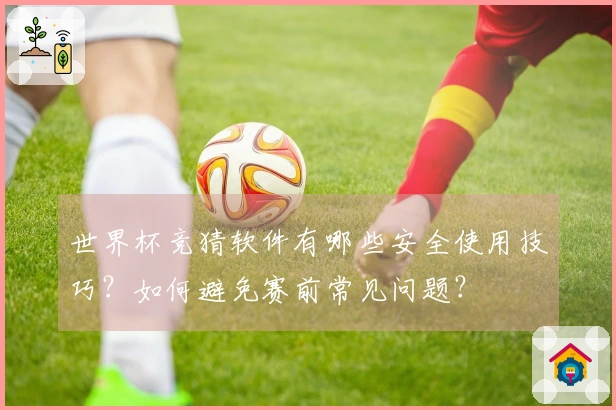 世界杯竞猜软件有哪些安全使用技巧？如何避免赛前常见问题？