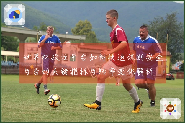 世界杯投注平台如何快速识别安全与否的关键指标与赔率变化解析