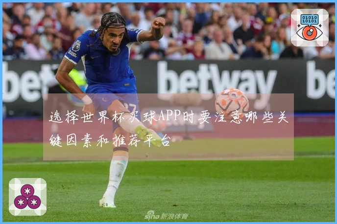 选择世界杯买球APP时要注意哪些关键因素和推荐平台