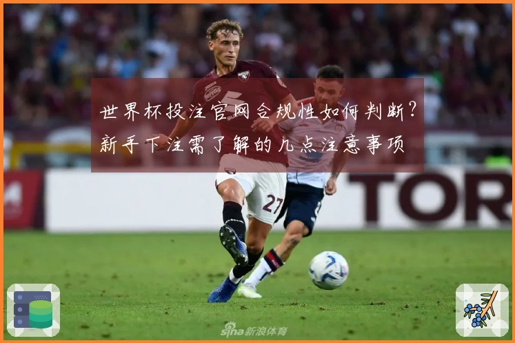 世界杯投注官网合规性如何判断？新手下注需了解的几点注意事项