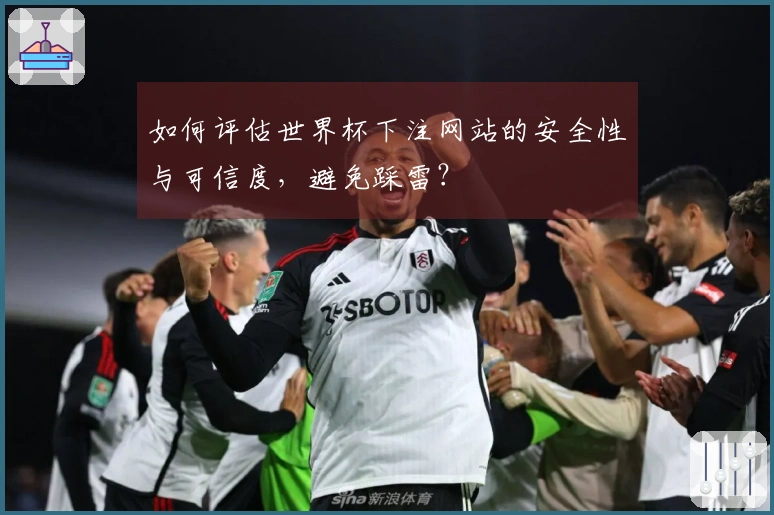 如何评估世界杯下注网站的安全性与可信度，避免踩雷？