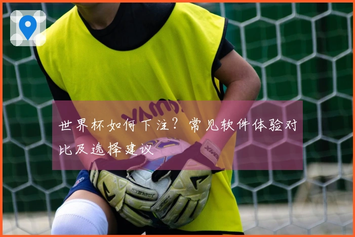 世界杯如何下注？常见软件体验对比及选择建议