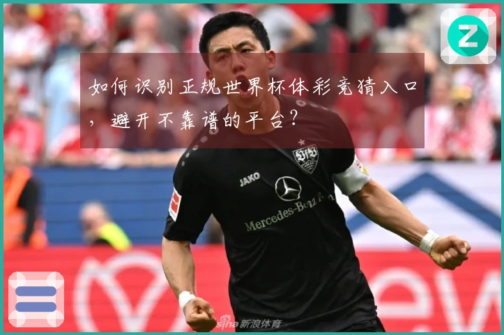 如何识别正规世界杯体彩竞猜入口，避开不靠谱的平台？